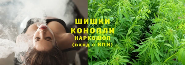 PSILOCYBIN Дмитровск