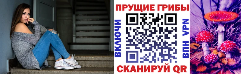 Купить  Ряжск  Псилоцибиновые грибы Psilocybe 